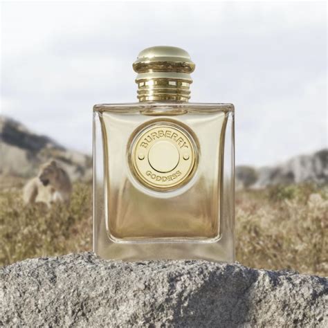 burberry vaniglia|burberry goddess vanilla reviews.